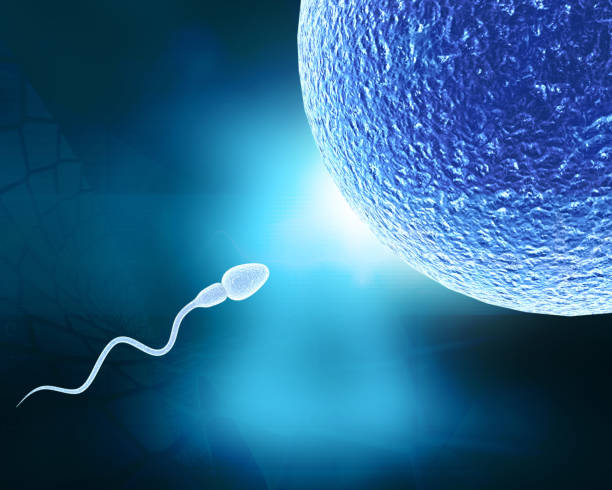 Infertility Treatment Market by Type [Equipment, Media & Consumables, and Accessories], Procedure Type [Assisted Reproductive Technology, Artificial Insemination, and Fertility Surgery], Gender Type [Male and Female], End User [Hospitals & Clinics and Fertility Centers] – Global Outlook & Forecast 2021-2031