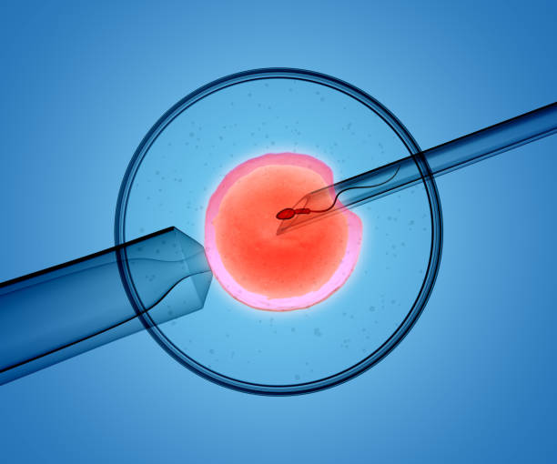 In Vitro Fertilization Market by Products & Services (Instruments, Reagents, Accessories, and Services), Type of Cycle (Fresh Donor IVF Cycles, Fresh Non-Donor IVF Cycles, Frozen Donor IVF Cycles, and Frozen Non-Donor IVF Cycles), End User (Fertility Clinics and Hospitals & Research Laboratories)–Global Outlook& Forecast 2021-2031