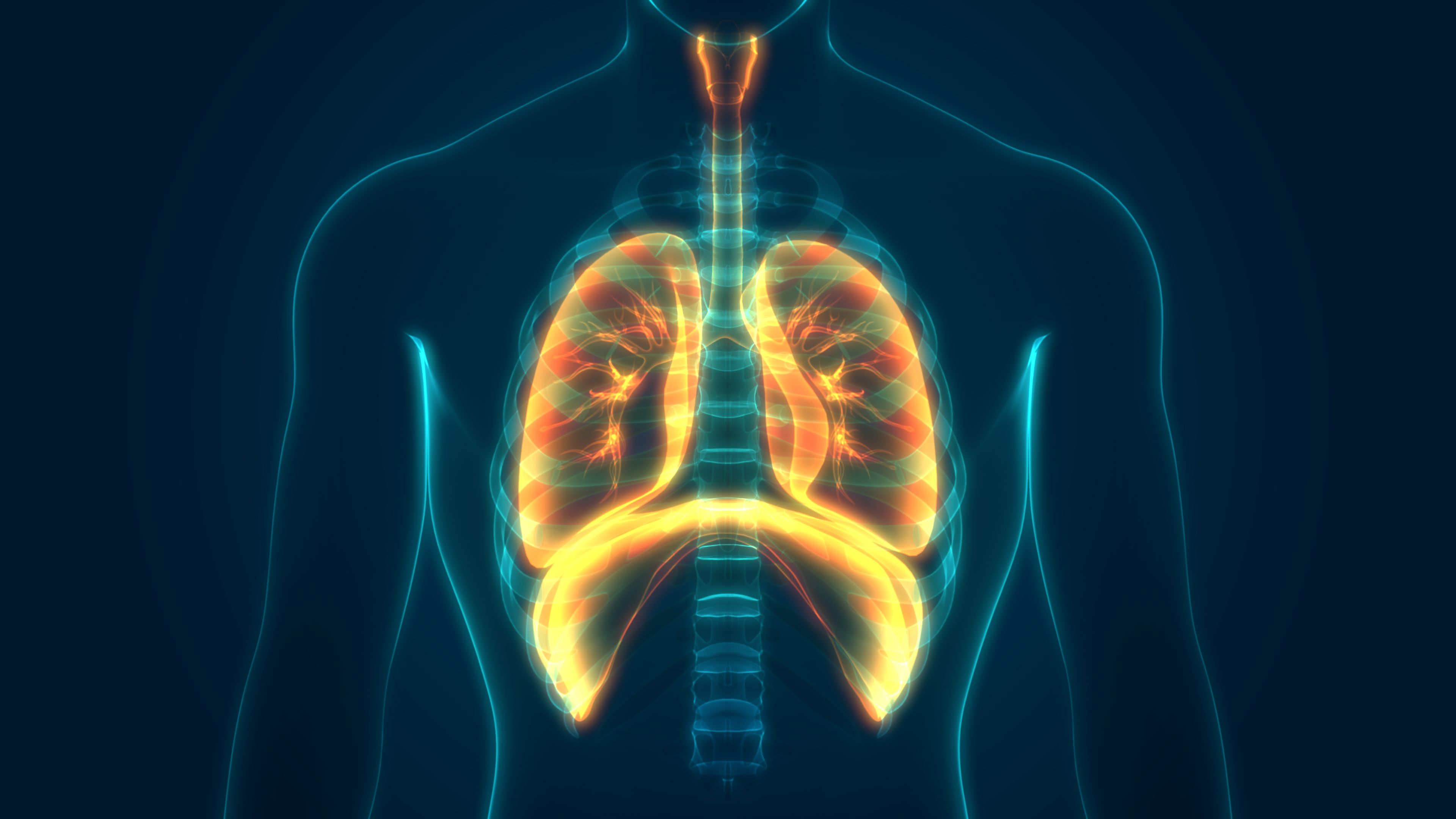 Respiratory Disease Imaging Market By Type (X-Ray, Magnetic Resonance Imaging (MRI), Computed Tomography (CT) Scan, and Nuclear Imaging), By Disease Indication (Chronic Obstructive Pulmonary Disease, Lung Cancer, Asthma, Tuberculosis, and Others) - Global Outlook & Forecast 2022-2030