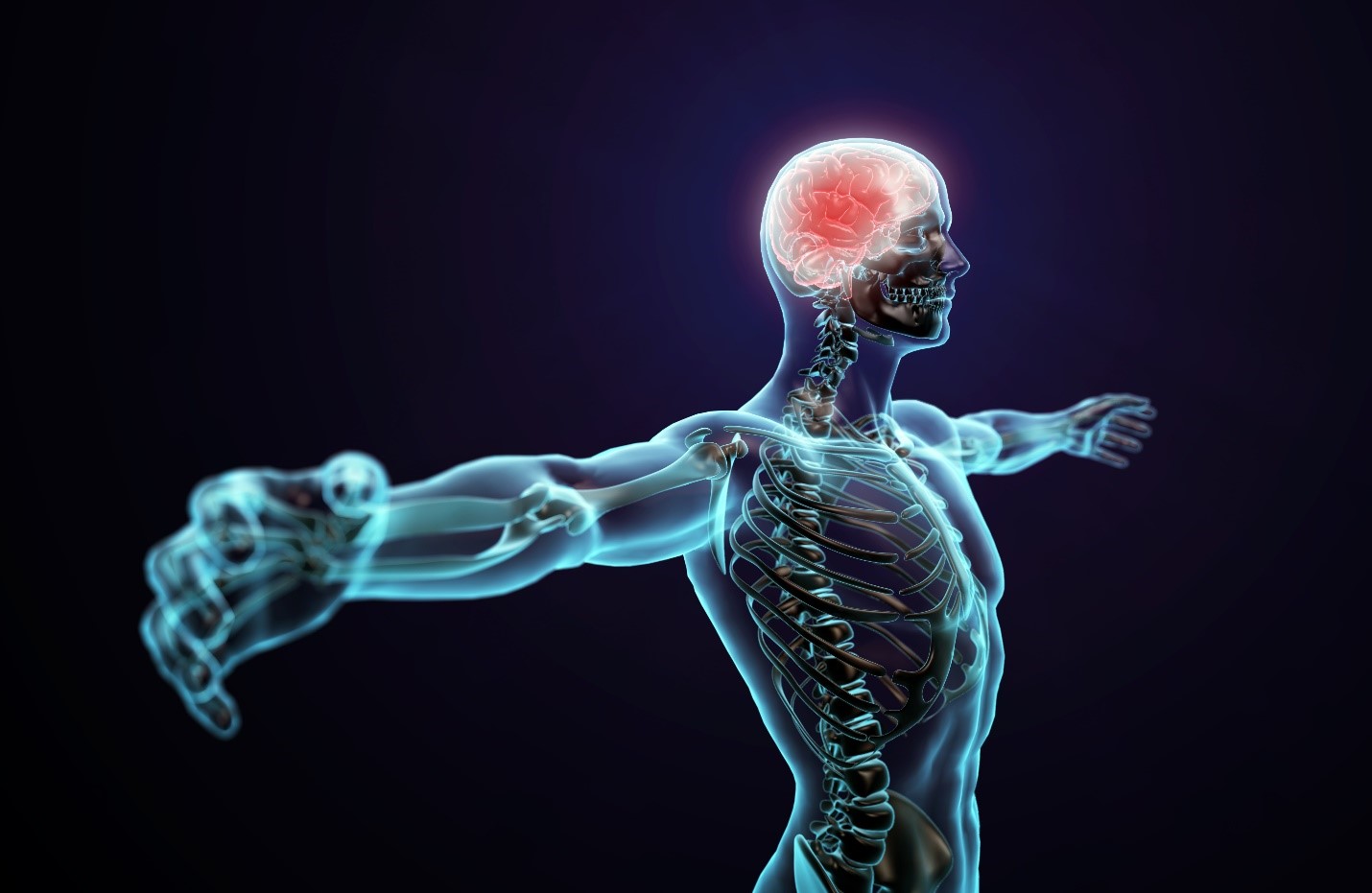 Central Nervous System Treatment Market by Disease Type (Neurovascular Diseases, Neurodegenerative Diseases, Mental Health, CNS Trauma, Others), by Drug Class (Antidepressants, Analgesics, Anesthetics, Anticonvulsants & Antiseizures, Anti-Parkinsonian Agents, Anxiolytics & Sedatives, CNS Stimulants, Others), by Distribution Channel (Hospital Pharmacy, Retail Pharmacy, and Online Pharmacy) - Global Outlook & Forecast 2022-2030