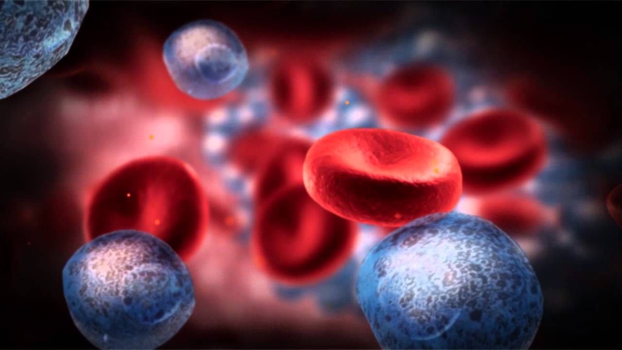 Multiple Myeloma Market by Drug Class (Immunomodulators, Proteasome Inhibitors), by Therapy (Chemotherapy, Immunotherapy), by End User (Hospitals, Cancer Research Centers) - Global Outlook and Forecast 2024-2032
