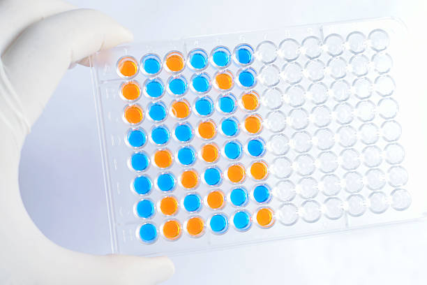 Fluorescent Immunoassay Market by Product Type (Rapid Lateral Flow Immunoassay, ELISA), Application (Cardiovascular Disease, Oncology), End-user (Pharmaceutical & Biotechnology Companies, Hospitals & Clinics) -Global Outlook & Forecast 2022-2030