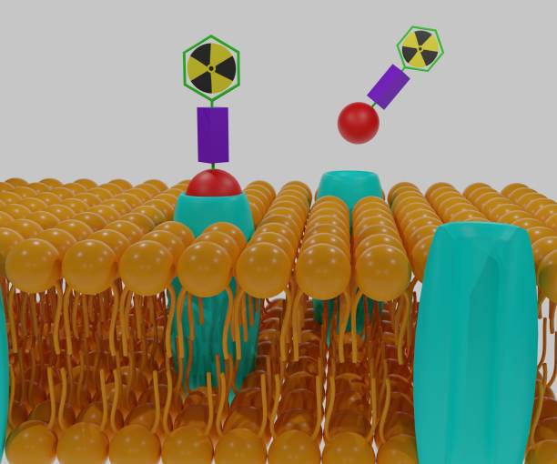 Radiopharmaceutical Theranostics Market by Radioisotope (Technetium-99, Lutetium-177), Source (Nuclear Reactors, Cyclotrons), Application (Targeted Therapeutics, Companion Diagnostics), Indication (Oncology, Cardiology), End User (Hospitals, Diagnostic Imaging Centers) - Global Outlook and Forecast 2023-2031