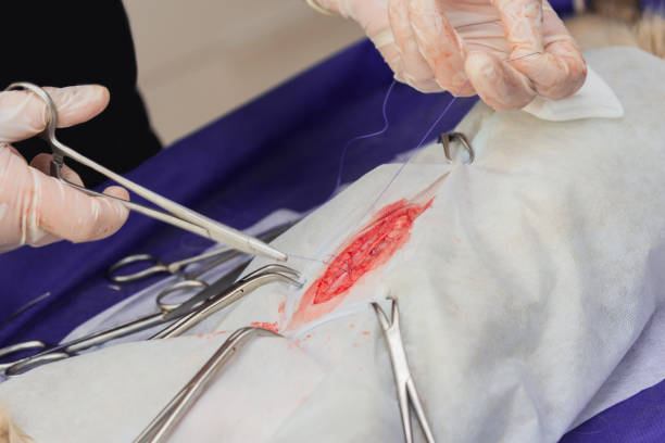 Cutting Angioplasty Balloon Market by Product Type (Conventional Cutting Balloons, Drug Coated Cutting Balloons), Application (Peripheral Artery Diseases, Coronary Artery Diseases), End User (Cardiac Centers, Hospitals) - Global Outlook and Forecast 2023-2031