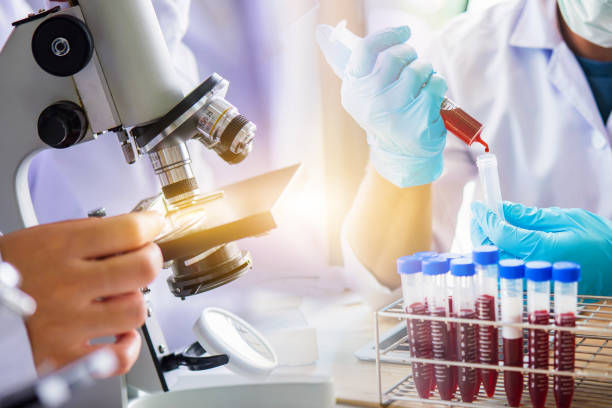 Wilson’s Disease Diagnostics Market by Test (Blood Test, Urine Test, Liver Biopsy and Others), End User (Hospital Laboratories, Diagnostics Centers, Others) – Global Outlook & Forecast 2023-2031