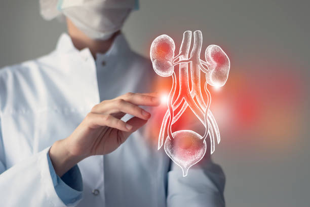 Hemolytic Uremic Syndrome Treatment Market by Treatment Type (Pharmacological Therapy, Plasma Exchange), Disease Type (Atypical, Typical) – Global Outlook & Forecast 2023-2031