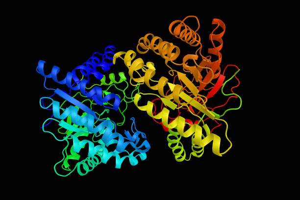 Melanocortin Agonists Market by Drug Type (Setmelanotide, Bremelanotide), Application (Obesity, Hypoactive Sexual Desire Disorder)– Global Outlook & Forecast 2023-2031