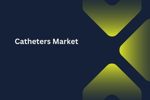 Catheters Market by Product Type (Cardiovascular Catheter, Intravenous Catheters), End User (Hospitals, Diagnostic Centers) – Global Outlook & Forecast 2023-2031