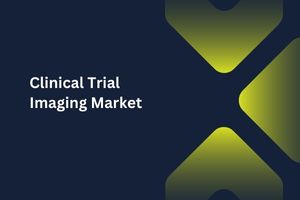 Clinical Trial Imaging Market by Software & Services (Services, Software), Modality (Computed Tomography, Ultrasound), End User (Pharmaceutical & Biotechnology Companies) – Global Outlook & Forecast 2023-2031