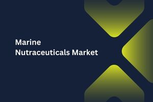 Marine Nutraceuticals Market by Product (Omega-3 Fatty Acids, Fucoidan, Seaweeds), Application (Dietary Supplements, Pharmaceuticals), Form (Softgel Capsules, Powders, Liquid), Distribution Channel (Hypermarkets, Specialty Retail Stores) - Global Outlook & Forecast 2023-2031