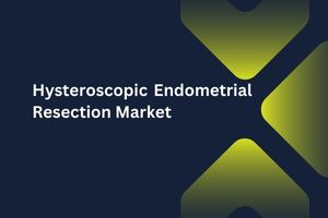 Hysteroscopic Endometrial Resection Market by Instrument Type (Assembled Operative Hysteroscope, Hysteroscope), End User (Hospitals, Ambulatory Surgical Center) – Global Outlook & Forecast 2023-2031