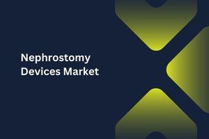 Nephrostomy Devices Market by Product (Drainage Tubes, Guidewires), End User (Hospitals, Ambulatory Surgery Centers) – Global Outlook & Forecast 2023-2031