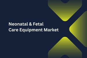 Neonatal & Fetal Care Equipment Market by Product Type (Neonatal Care Equipment, Fetal Care Equipment), End User (Hospitals, Clinics) – Global Outlook & Forecast 2023-2031