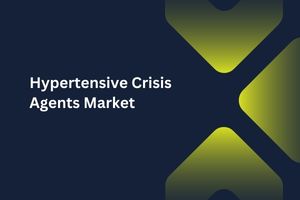 Hypertensive Crisis Agents Market by Drug Class (Beta-blockers, Vasodilators, Calcium Channel Blockers), Distribution Channel (Hospital Pharmacies, Retail Pharmacies) – Global Outlook & Forecast 2023-2031