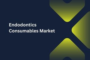 Endodontics Consumables Market by Product Type (Access Cavity Preparation, Shaping & Cleaning), End User (Dental Clinics, Hospitals) – Global Outlook & Forecast 2023-2031