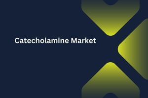 Catecholamine Market by Drug Type (Synthetic and Endogenous), Indication (Cardiac Arrest, Hypertension, Anaphylaxis), Distribution Channel (Hospital Pharmacies, Retail Pharmacies) – Global Outlook & Forecast 2023-2031