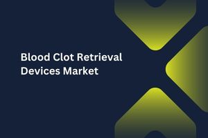 Blood Clot Retrieval Devices Market by Indication (Hemorrhagic Stroke, Ischemic Stroke,), Device Type (Ultrasound Assisted Devices, Stent Retrievers), End Users (Hospitals, Diagnostic Centers, and Clinics) - Global Outlook and Forecast 2023-2031