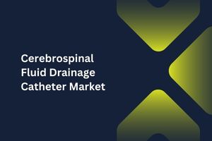 Cerebrospinal Fluid Drainage Catheter Market by Type (Ventricular Drainage Catheter, Lumbar Drainage Catheter), Application (Traumatic Brain Injury, Traumatic Spinal Injury) – Global Outlook & Forecast 2023-2031