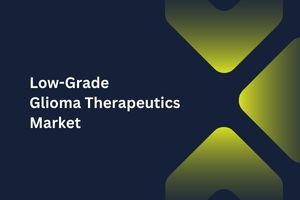 Low-Grade Glioma Therapeutics Market by Drug Class (Dabrafenib, Trametinib, Vorasidenib), Route of Administration (Oral, Topical), Distribution Chanel (Hospital Pharmacy, Retail Pharmacy)-Global Outlook & Forecast 2023-2031