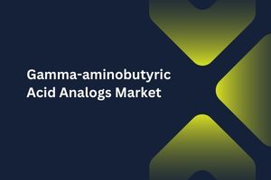 Gamma-aminobutyric Acid Analogs Market by Indication (Diabetic Peripheral Neuropathy, Epilepsy, Fibromyalgia), Distribution Channel (Hospital Pharmacies, Retail Pharmacies) - Global Outlook and Forecast 2023-2031