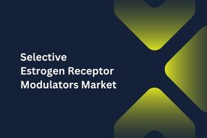 Selective Estrogen Receptor Modulators Market by Indication (Osteoporosis, Postmenopausal) and Drug (Tamoxifen, Raloxifene) – Global Outlook & Forecast 2023-2031