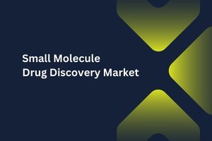 Small Molecule Drug Discovery Market by Therapeutic Area (Central Nervous System, Oncology), Process/Phase (Lead Identification, Target ID/Validation) – Global Outlook & Forecast 2023-2031