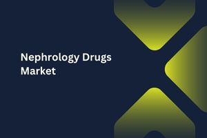 Nephrology Drugs Market by Drug Class (ACE Inhibitors, Beta Blockers), Route of Administration (Oral, Parenteral), Distribution Channel (Hospital Pharmacies, Retail Pharmacies)– Global Outlook & Forecast 2023-2031